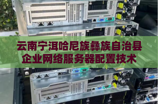 云南宁洱哈尼族彝族自治县企业网络服务器配置技术
