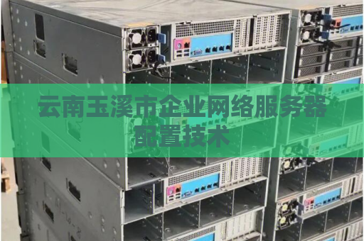云南玉溪市企业网络服务器配置技术