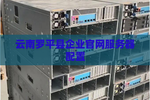 云南罗平县企业官网服务器配置