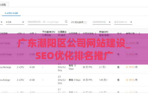 广东潮阳区公司网站建设_SEO优化排名推广