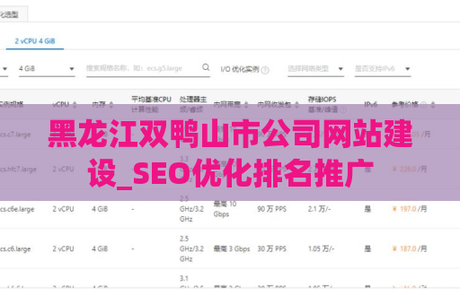 黑龙江双鸭山市公司网站建设_SEO优化排名推广