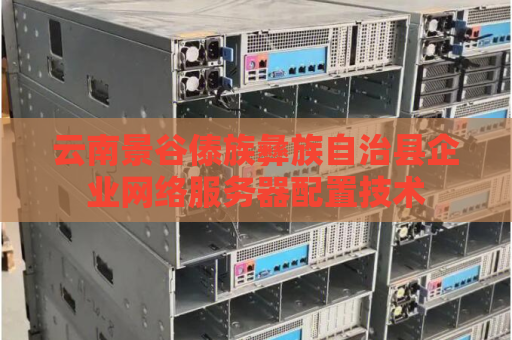 云南景谷傣族彝族自治县企业网络服务器配置技术