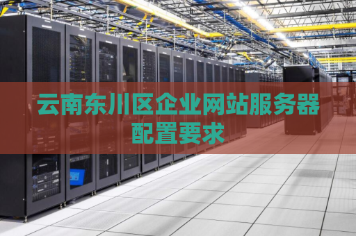 云南东川区企业网站服务器配置要求